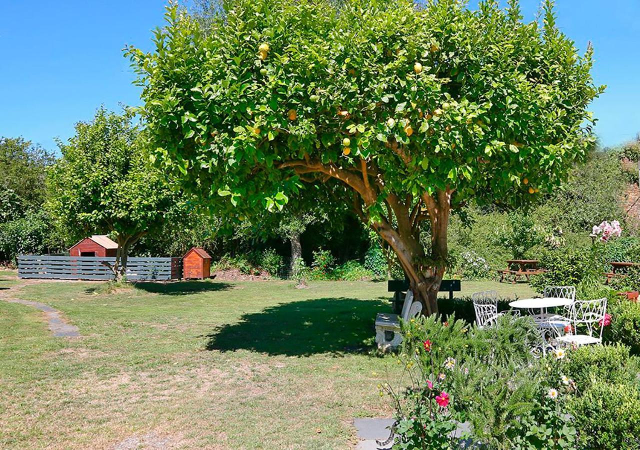 Pension Casa Elena Foro Exterior photo